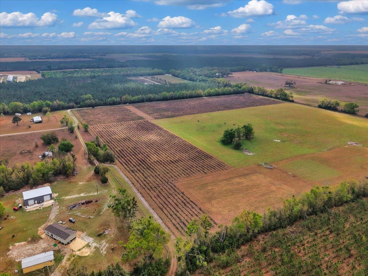 0 197th Road Live Oak, FL 32060 - Photo 12 of 23