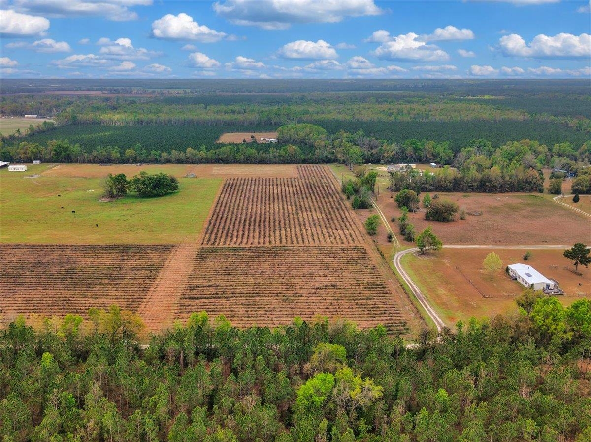 0 197th Road Live Oak, FL 32060 - Photo 14 of 23