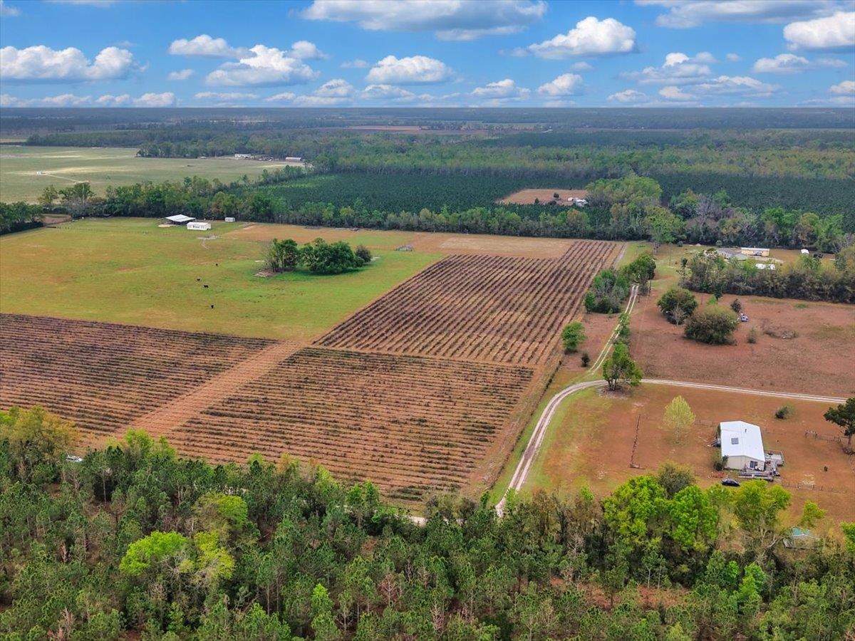0 197th Road Live Oak, FL 32060 - Photo 15 of 23