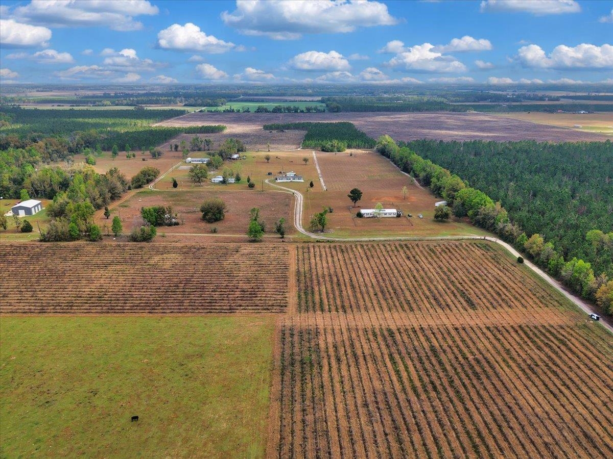 0 197th Road Live Oak, FL 32060 - Photo 15 of 23