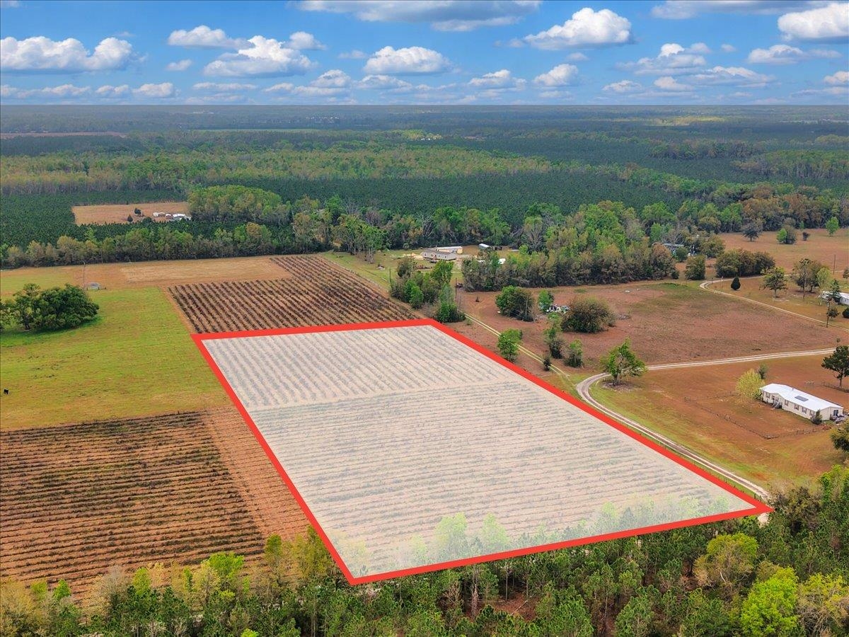 0 197th Road Live Oak, FL 32060 - Photo 18 of 23