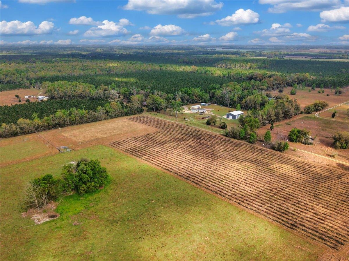 0 197th Road Live Oak, FL 32060 - Photo 19 of 23