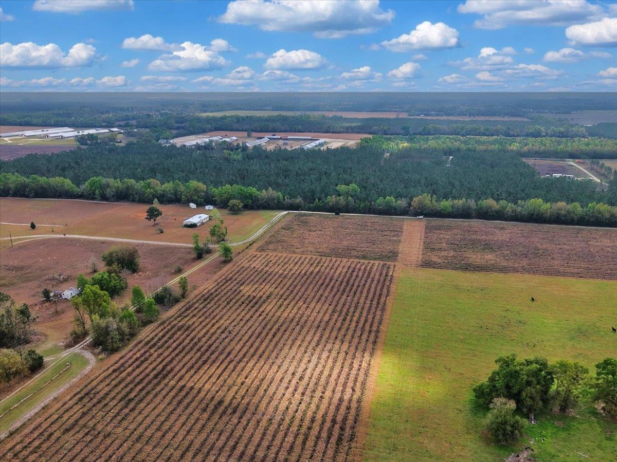 0 197th Road Live Oak, FL 32060 - Photo 21 of 23