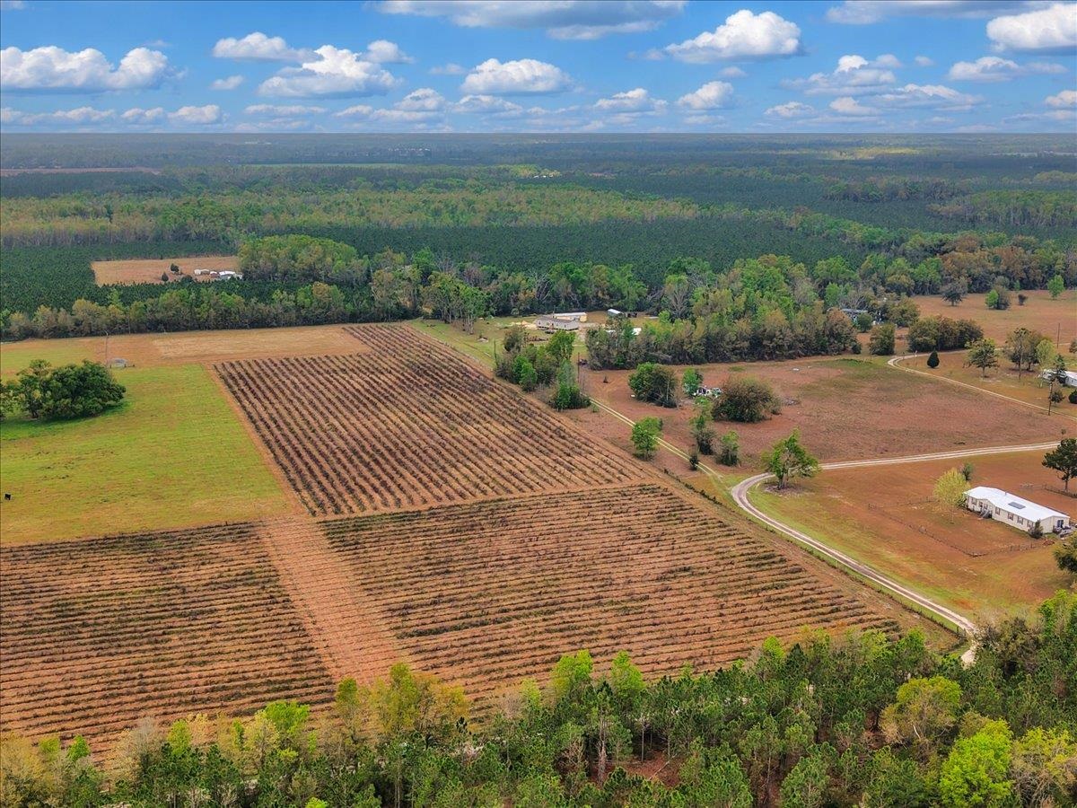 0 197th Road Live Oak, FL 32060 - Photo 5 of 23