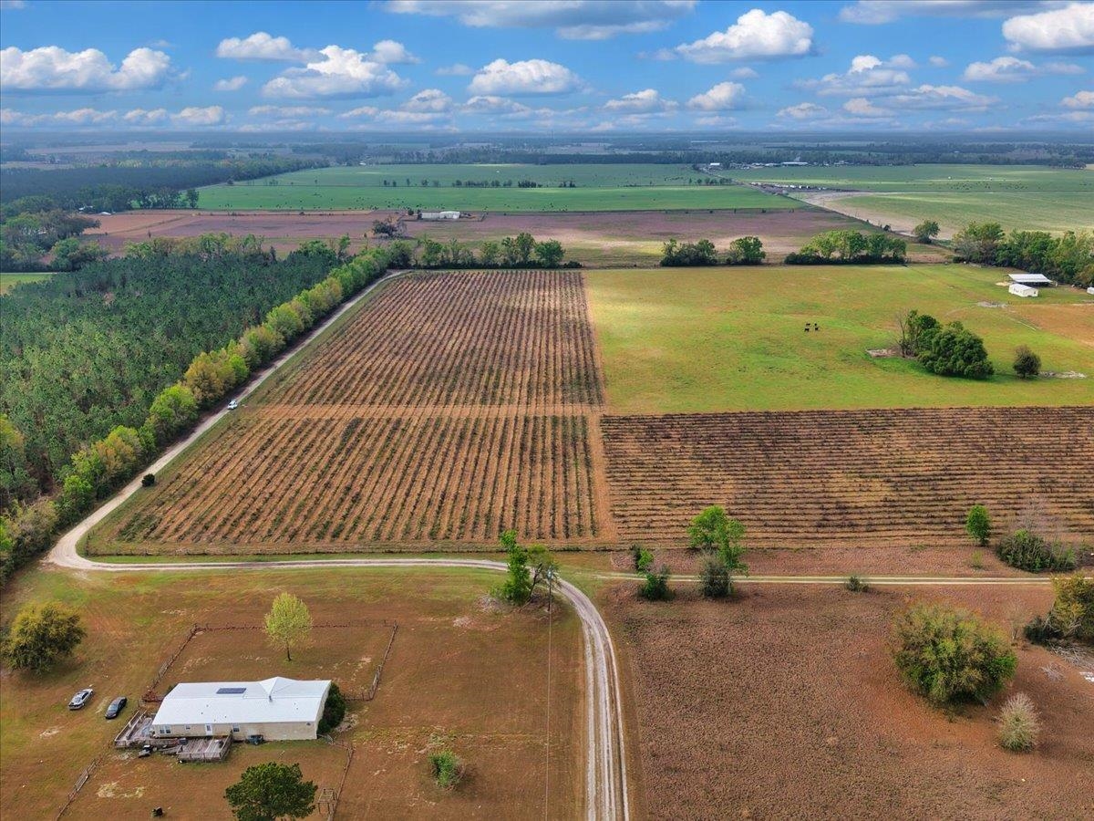 0 197th Road Live Oak, FL 32060 - Photo 6 of 23