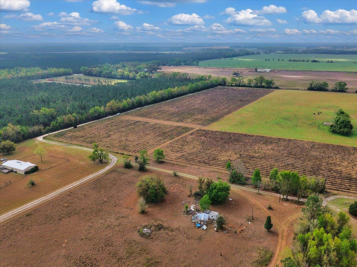 0 197th Road Live Oak, FL 32060 - Photo 8 of 23