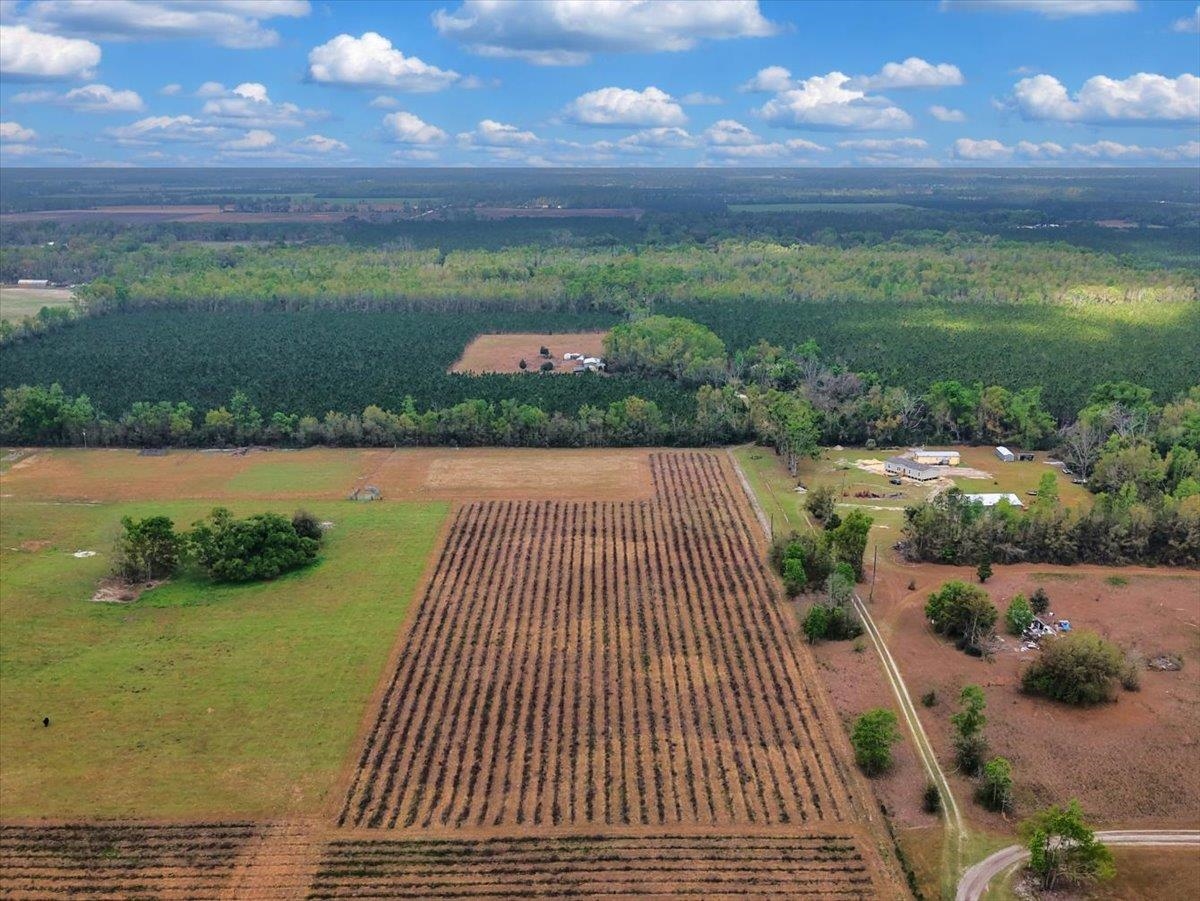 0 197th Road Live Oak, FL 32060 - Photo 8 of 23