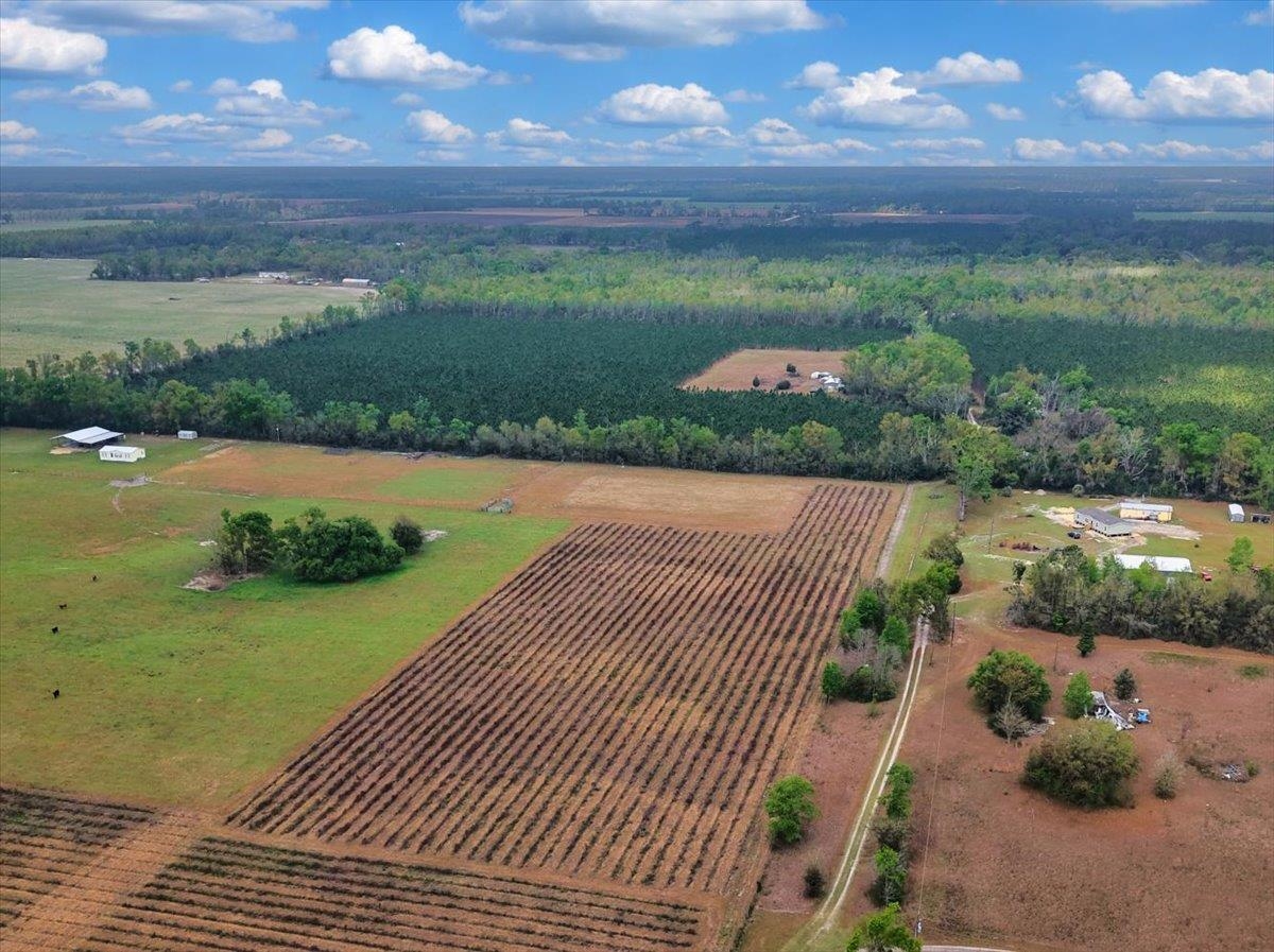 0 197th Road Live Oak, FL 32060 - Photo 9 of 23