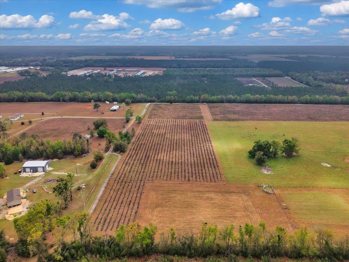 0 197th Road Live Oak, FL 32060 - Photo 10 of 23