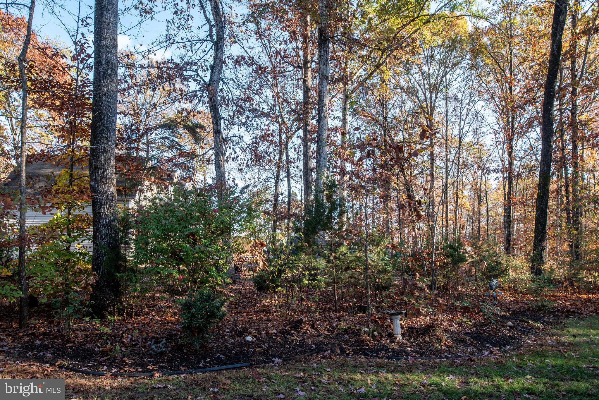 3804 Elk Creek Road Mineral, VA 23117 - Photo 54 of 70 Gallery Image 54