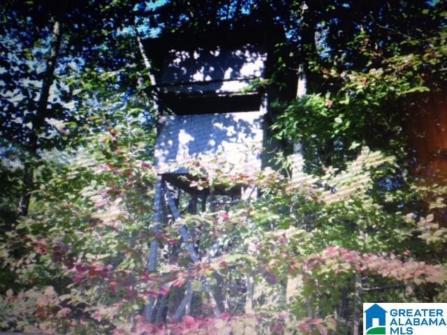 13611 Lay Springs Road Gadsden, AL 35904 - Photo 31 of 34