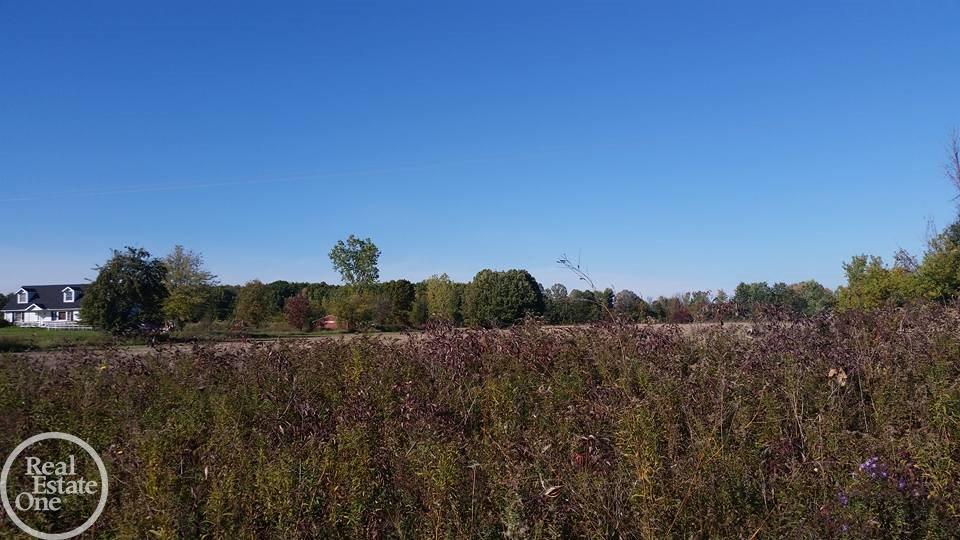 Vac Sparling Goodells, MI 48027 - Photo 2 of 3
