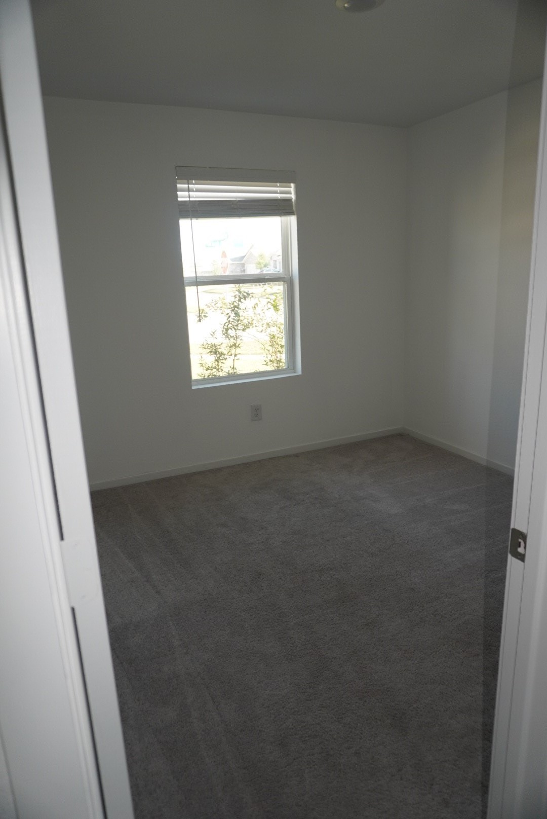 16803 Great Stable Way Hockley, TX 77447 - Photo 22 of 22