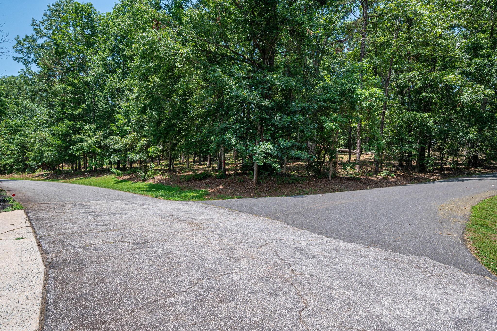 Lot #21 Moss Drive Rutherfordton, NC 28139 - Photo 8 of 22