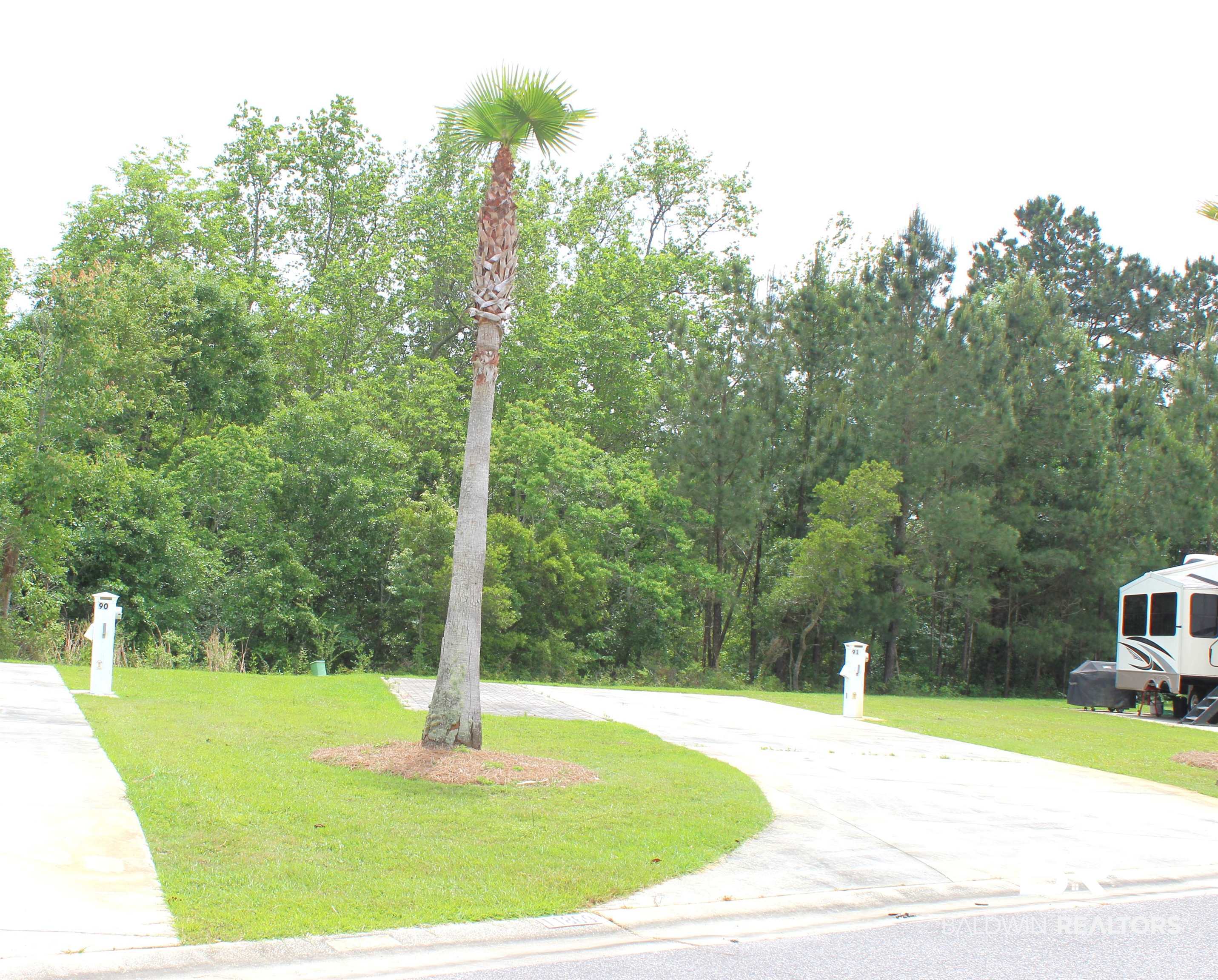 11869 Gateway Drive Elberta, AL 36530 - Photo 1 of 78 Surrounding community featuring a lawn and curved driveway