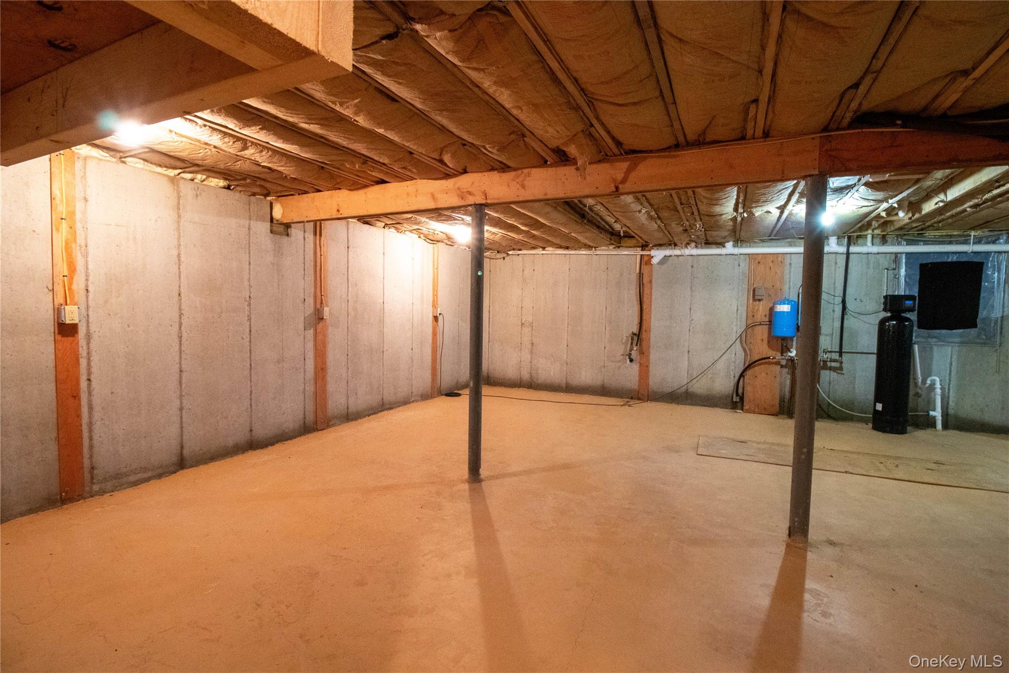 384 Morton Hill Road Roscoe, NY 12776 - Photo 26 of 27 Unfinished basement with a water softener system