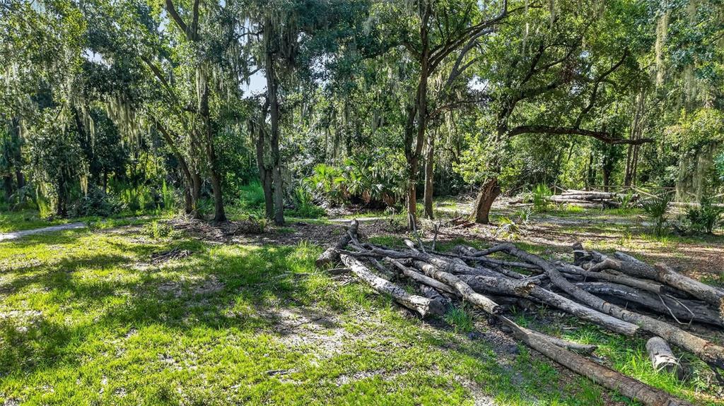 8922 Pritcher Road Lithia, FL 33547 - Photo 63 of 73