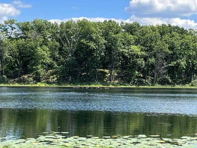 $474,900 | 5007 South 42nd Street, Climax, MI 49034