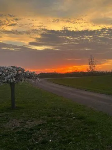 $474,900 | 5007 South 42nd Street, Climax, MI 49034