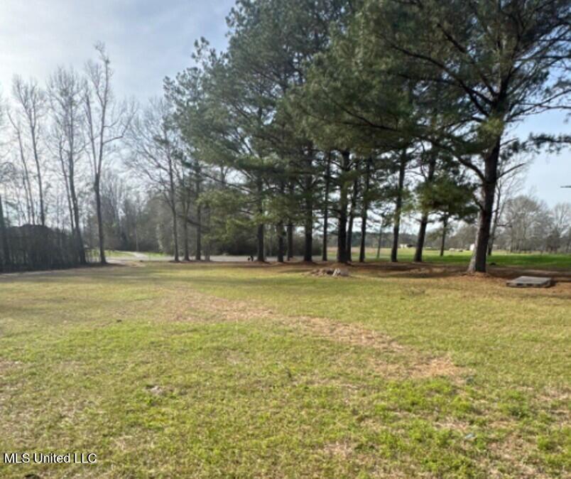 362 Seminary-Sumrall Road Sumrall, MS 39482 - Photo 3 of 11 Picture54