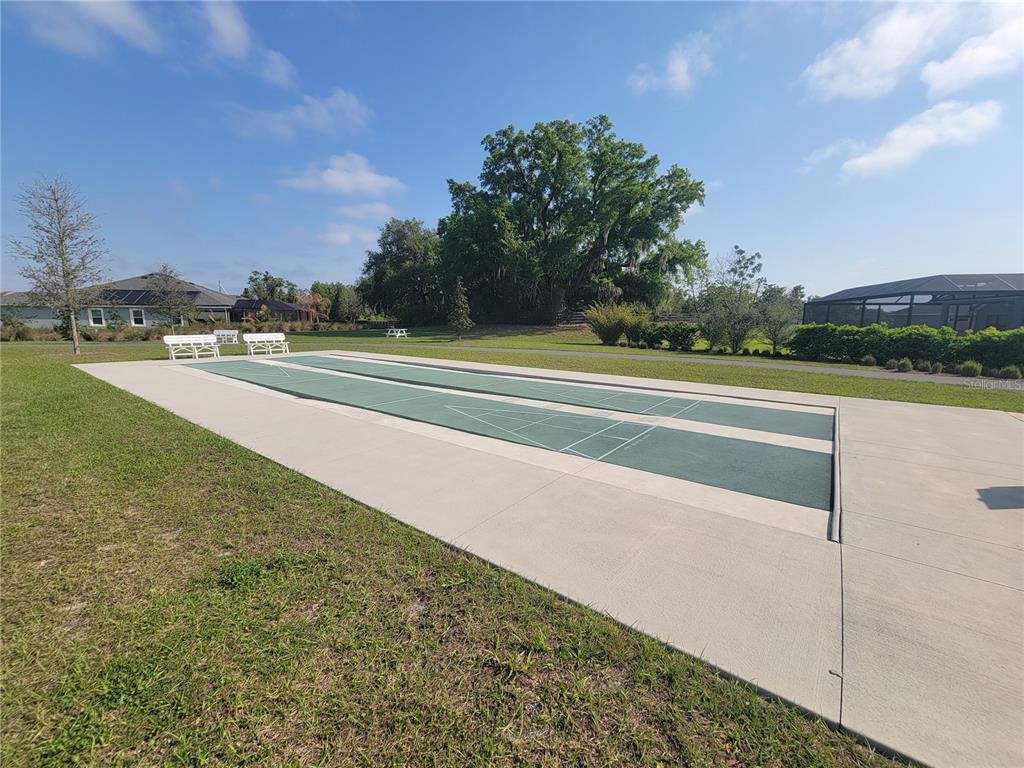 842 Spring Avenue The Villages, FL 34762 - Photo 48 of 53