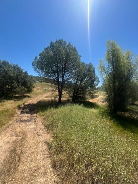 0 Stony Creek Road Ione, CA 95640 - Photo 68 of 70