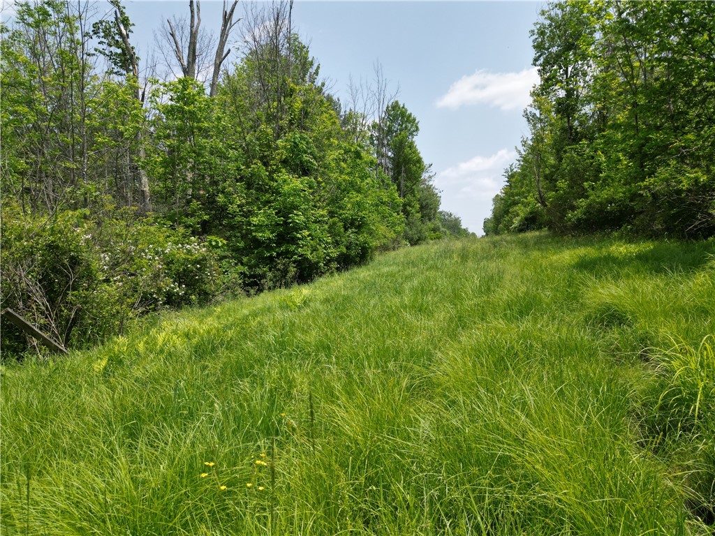 Crane Lane Addison, NY 14801 - Photo 11 of 25