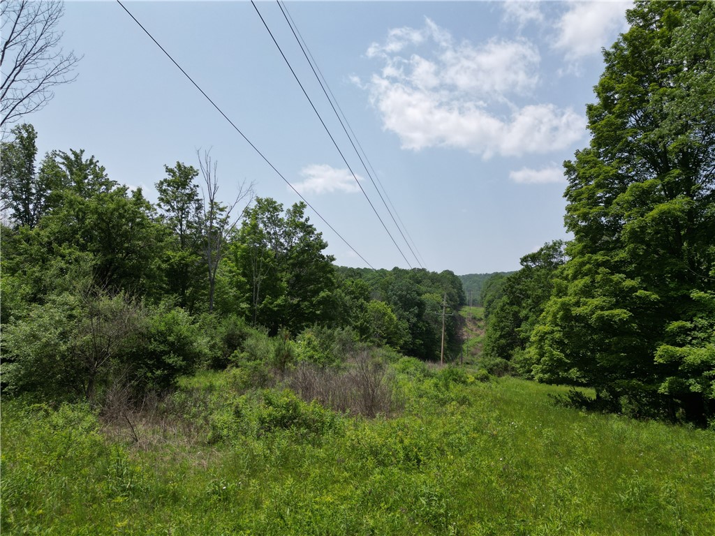 Crane Lane Addison, NY 14801 - Photo 12 of 25