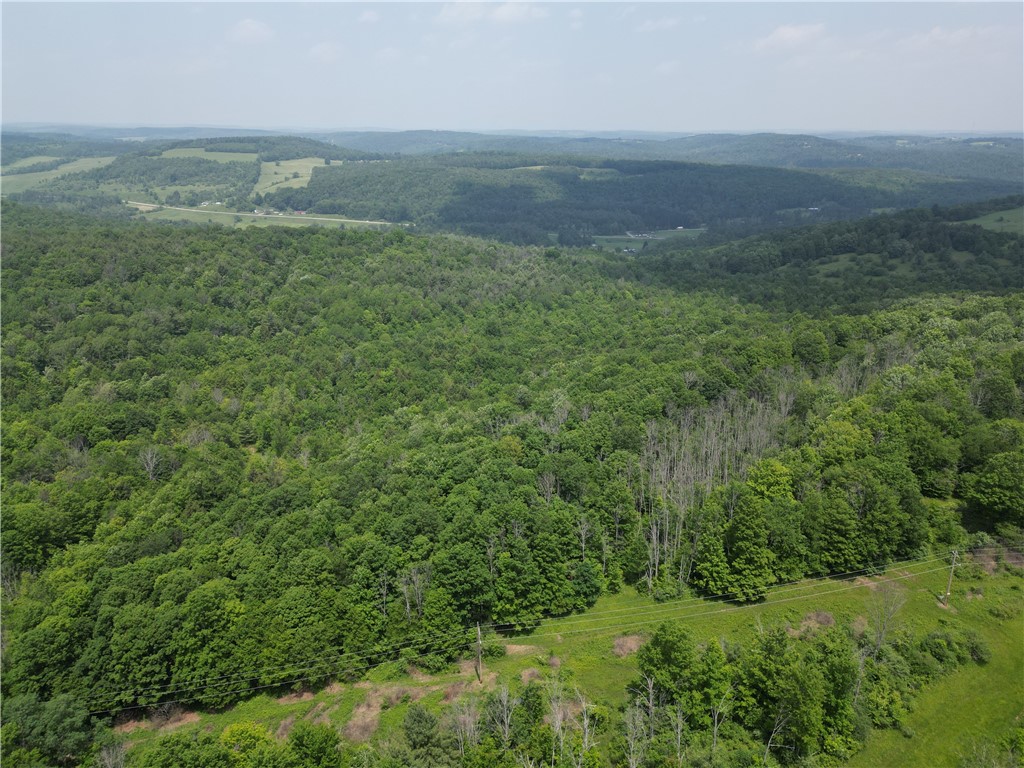 Crane Lane Addison, NY 14801 - Photo 13 of 25