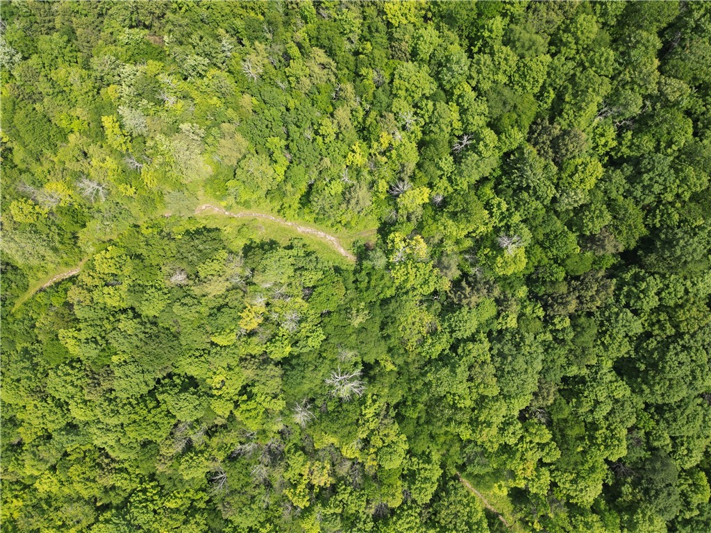 Crane Lane Addison, NY 14801 - Photo 14 of 25