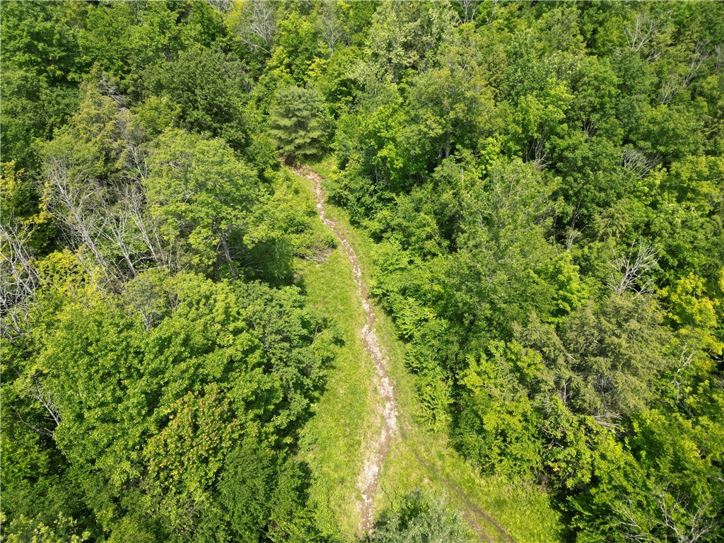 Crane Lane Addison, NY 14801 - Photo 15 of 25