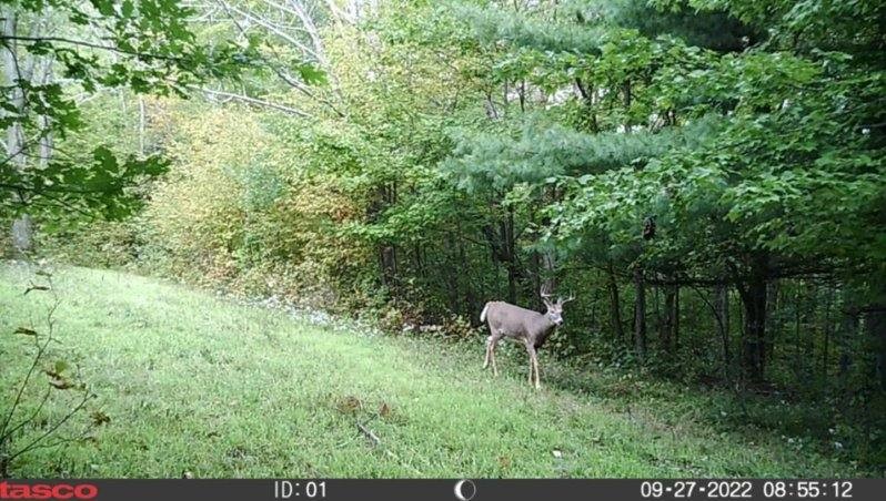 Crane Lane Addison, NY 14801 - Photo 17 of 25