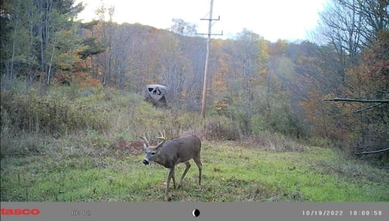 Crane Lane Addison, NY 14801 - Photo 18 of 25