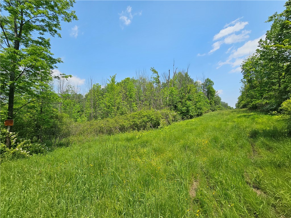 Crane Lane Addison, NY 14801 - Photo 2 of 25