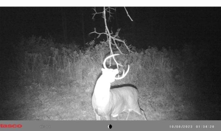 Crane Lane Addison, NY 14801 - Photo 22 of 25