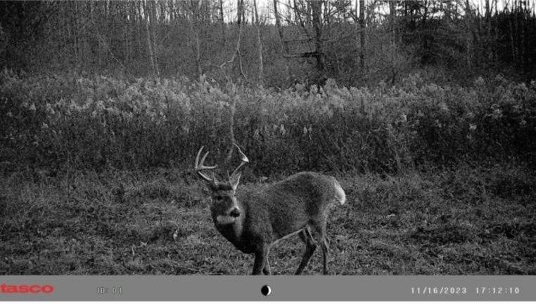 Crane Lane Addison, NY 14801 - Photo 23 of 25