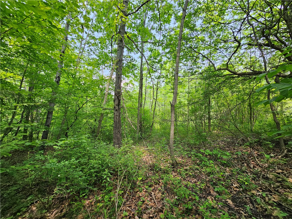 Crane Lane Addison, NY 14801 - Photo 3 of 25