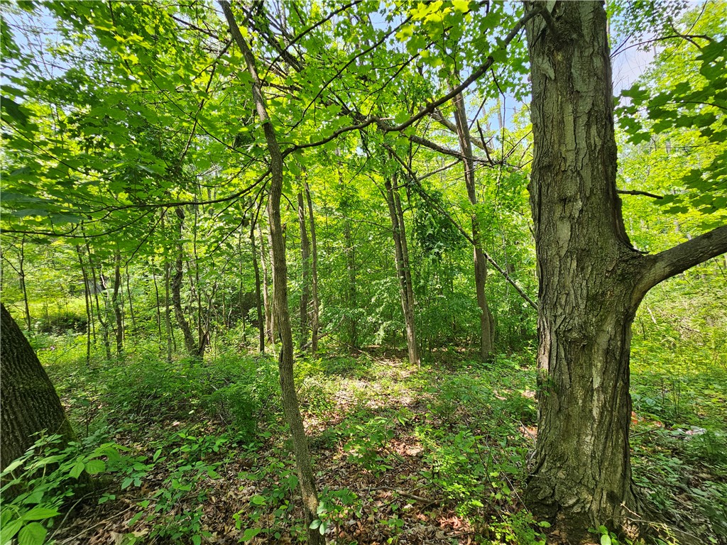 Crane Lane Addison, NY 14801 - Photo 4 of 25