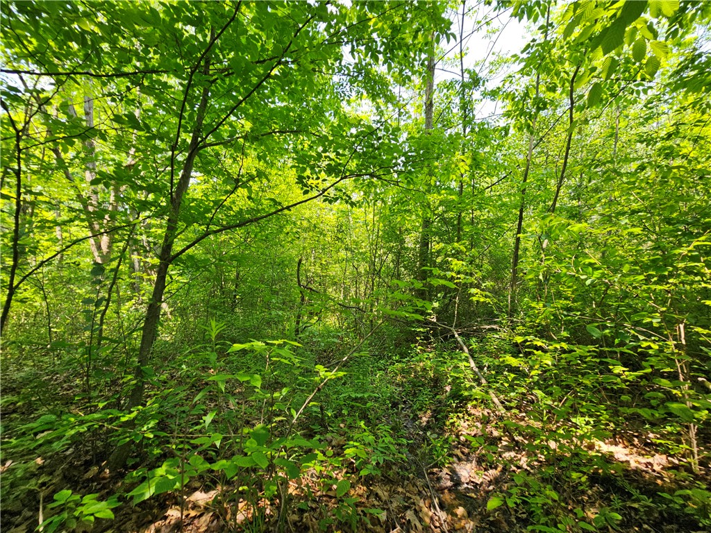 Crane Lane Addison, NY 14801 - Photo 5 of 25