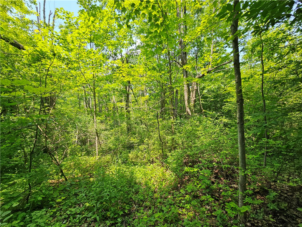 Crane Lane Addison, NY 14801 - Photo 6 of 25