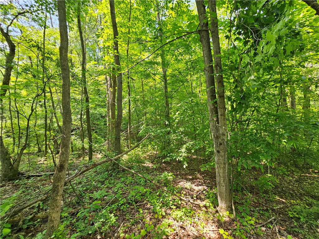 Crane Lane Addison, NY 14801 - Photo 7 of 25