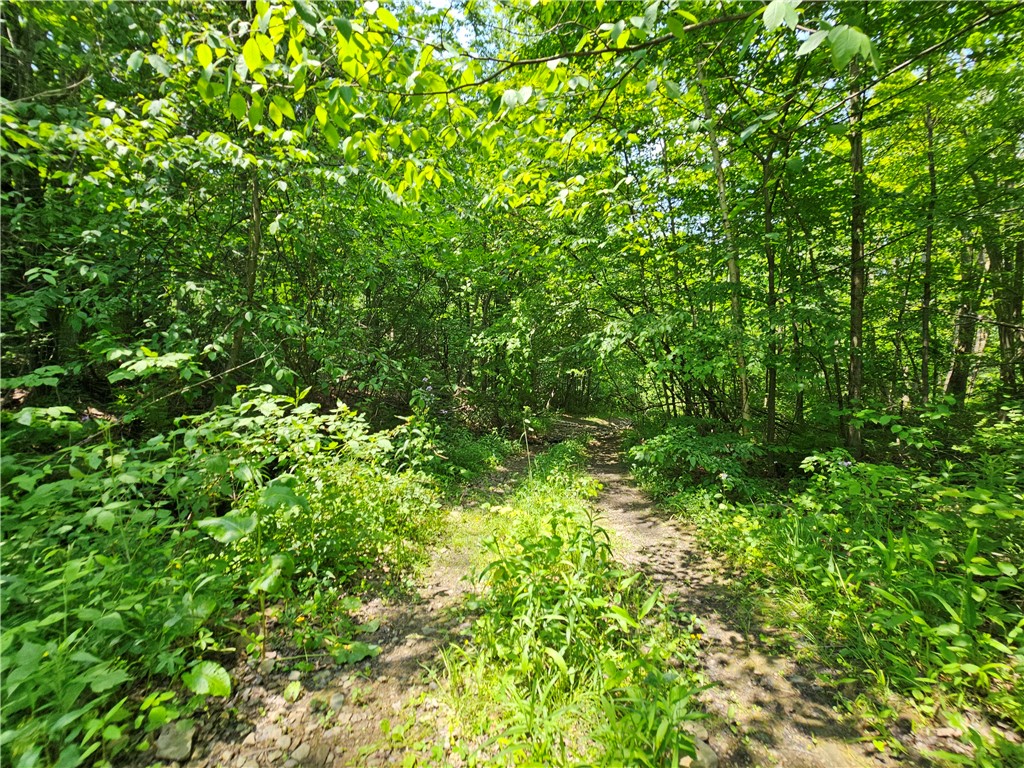 Crane Lane Addison, NY 14801 - Photo 8 of 25