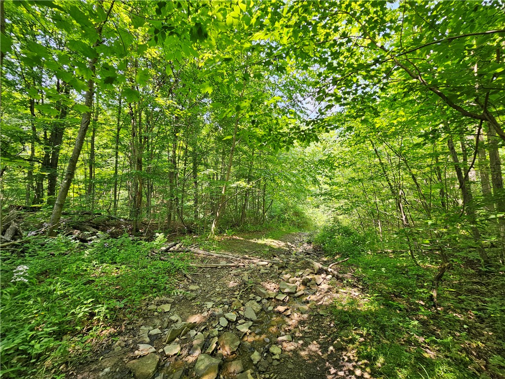 Crane Lane Addison, NY 14801 - Photo 9 of 25