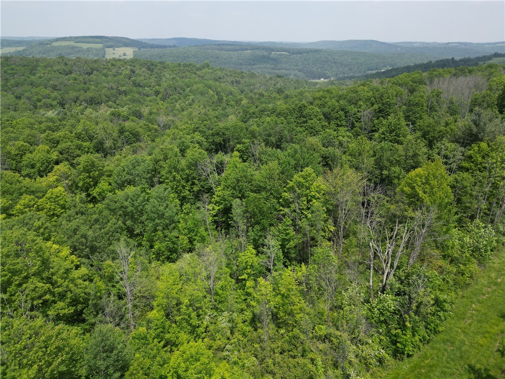 Crane Lane Addison, NY 14801 - Photo 10 of 25