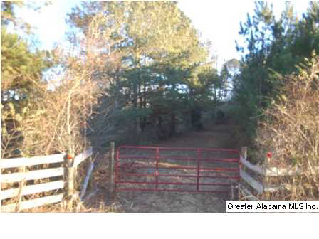 66 County Road, Unit 50 Woodland, AL 36280 - Photo 2 of 12