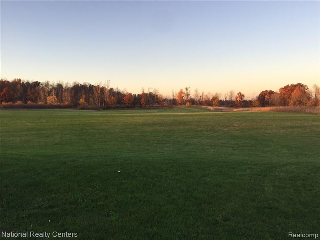 6893 Lothrop Road Imlay City, MI 48444 - Photo 21 of 98 2016-11-07 16.57