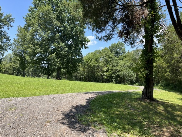 4929 B Bethesda-Duplex Road College Grove, TN 37046 - Photo 2 of 10 a view of a field with a tree