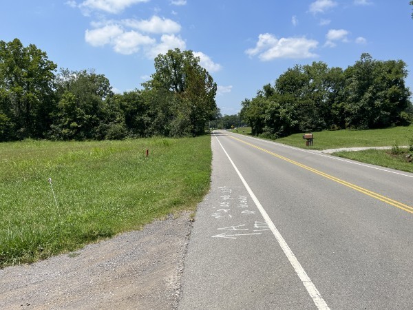 4929 B Bethesda-Duplex Road College Grove, TN 37046 - Photo 5 of 10 a view of street with grass and a trees