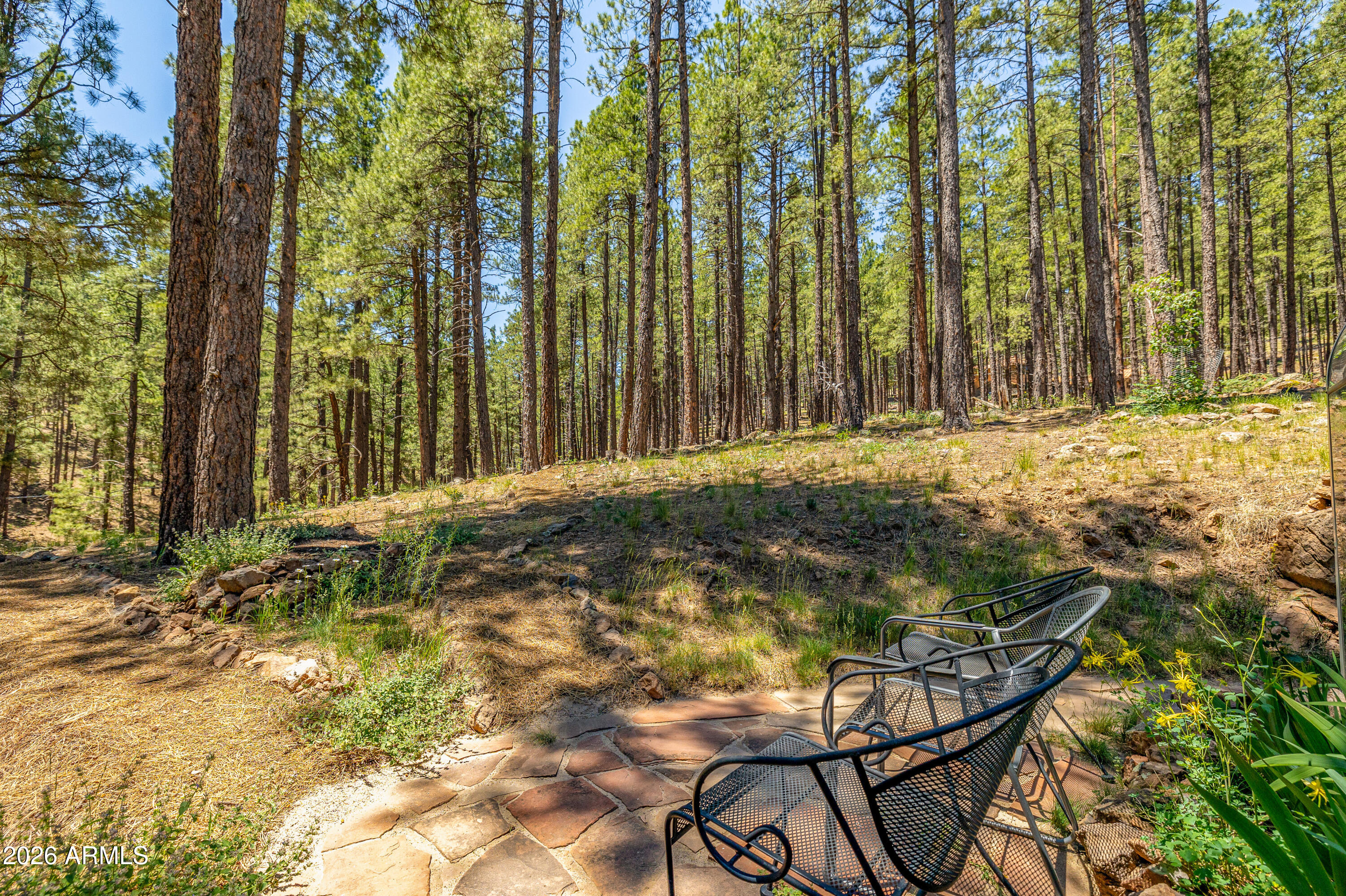 4875 Hidden Hollow Road Flagstaff, AZ 86001 - Photo 49 of 65