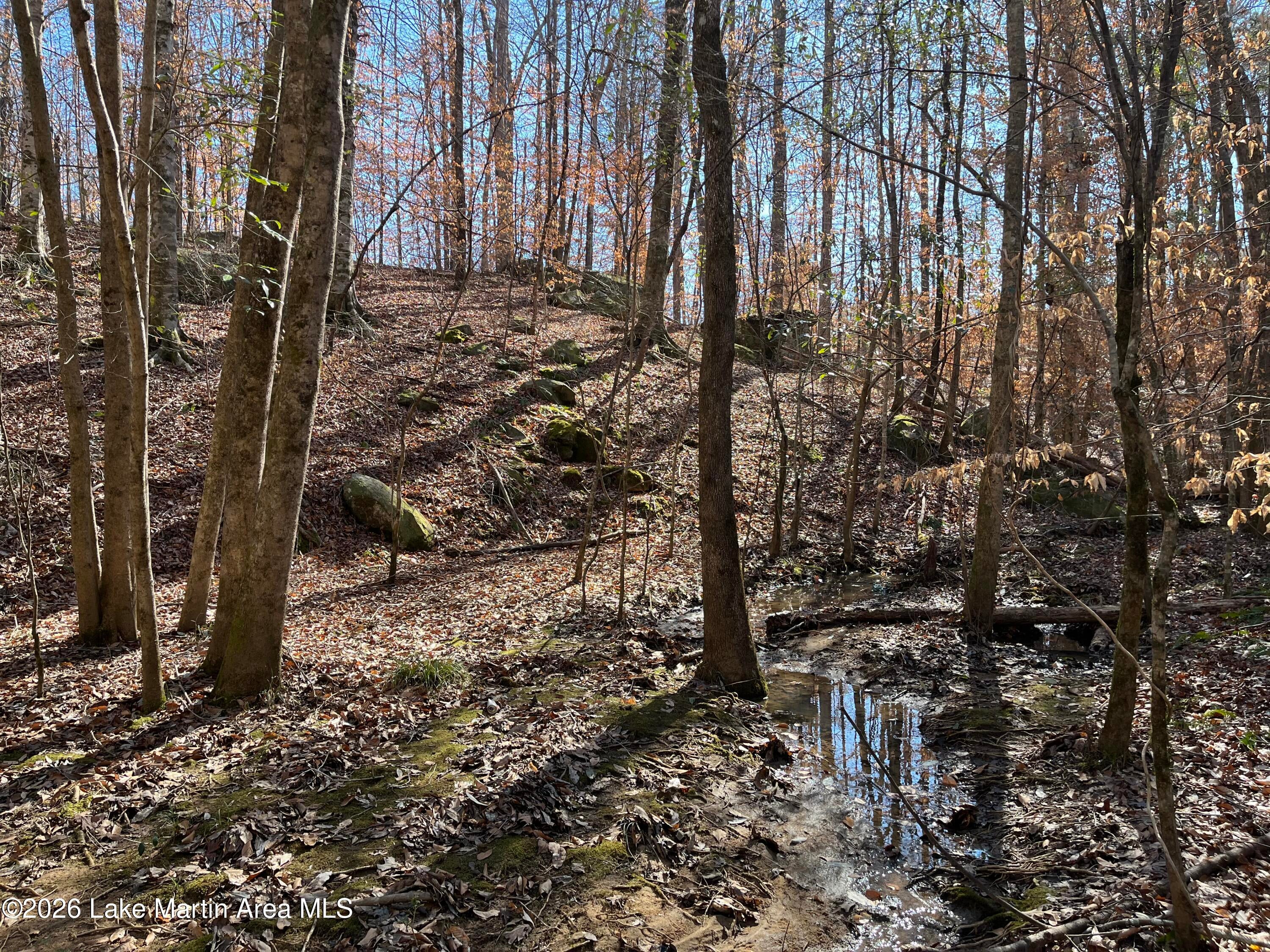 +/-12 Acres Greenwood Rd.